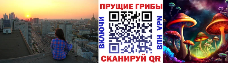 Псилоцибиновые грибы прущие грибы даркнет официальный сайт Мещовск